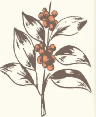 Danes de Frutos Rojos